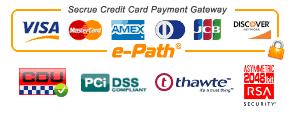 Accept credit card payments online